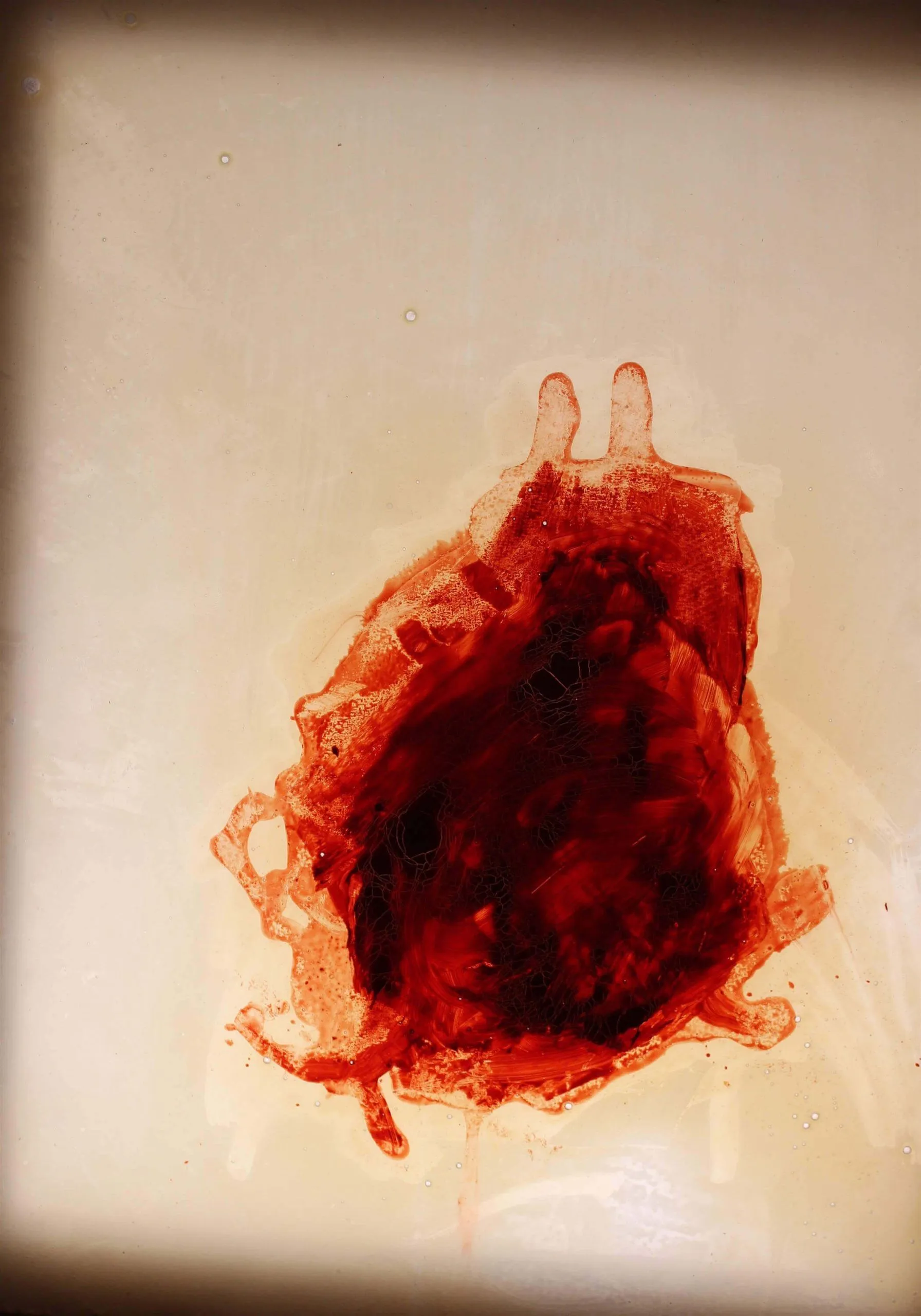 04_Huner Emin_Blood Washing close up sample piece 18_Oil colors, latex and plyanthyline_17x14x1