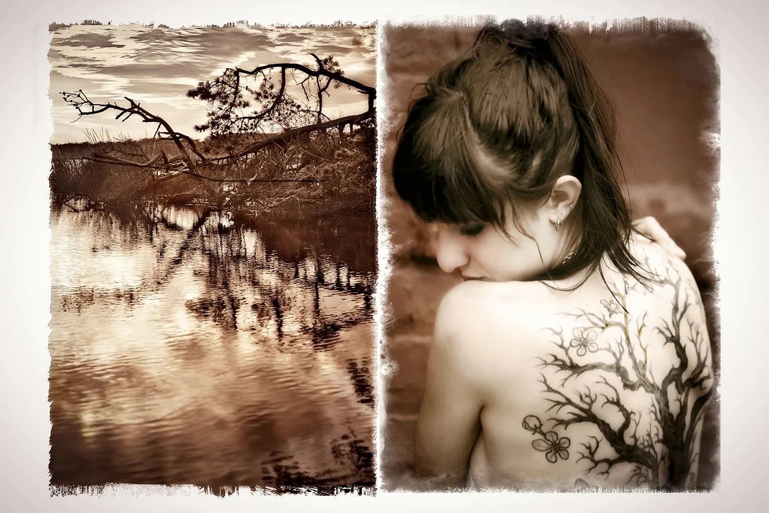 15_Ann Brandeis_Conversation on Decay