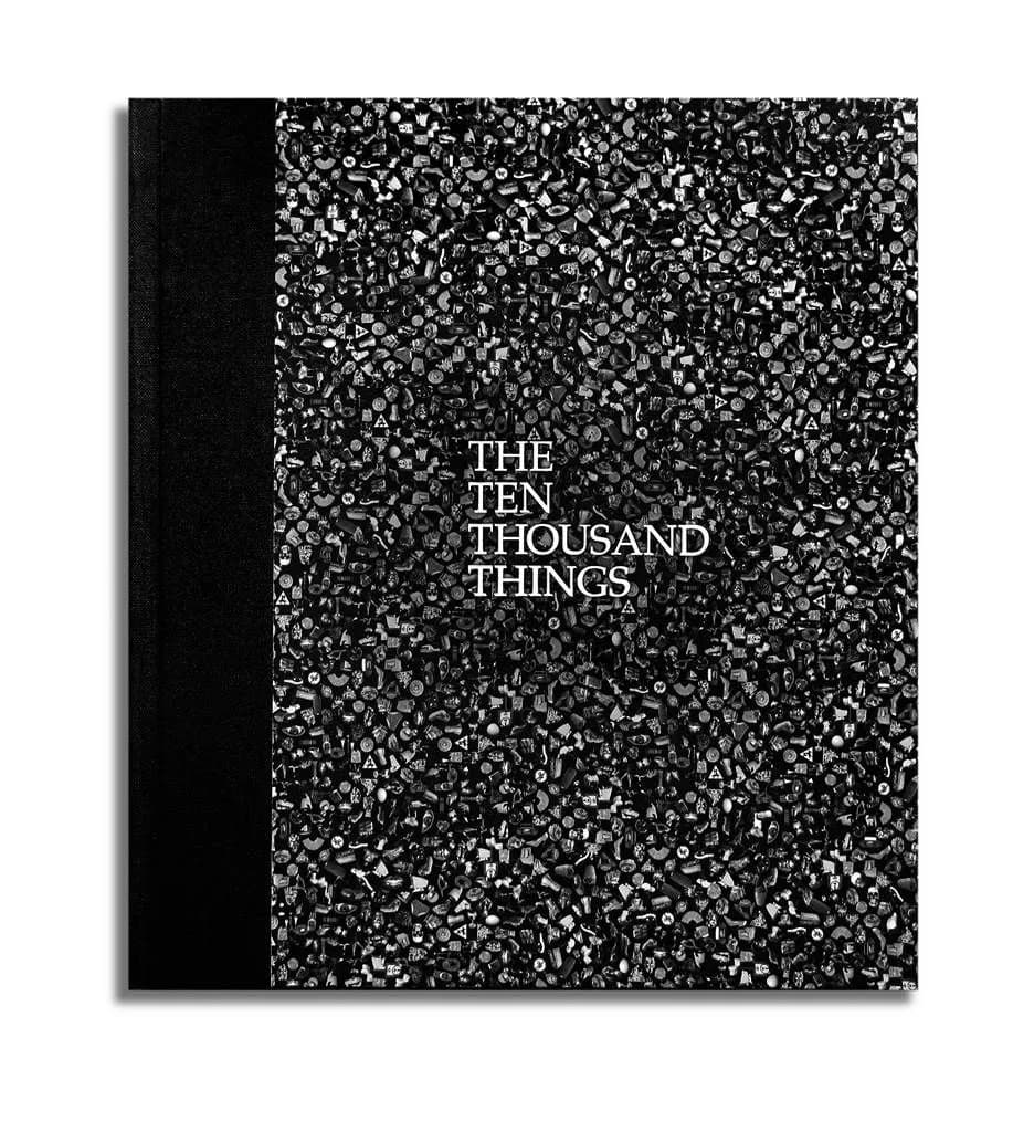2011 Lyn Ashby Ten Thousand Things