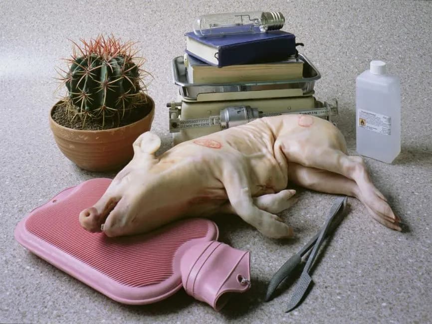 2013 Florian Froese-Peeck- Three Still Lifes 3