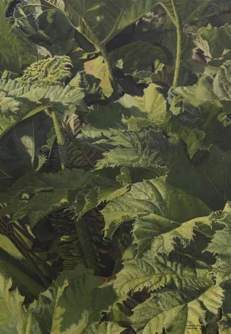 2016 Esther Huser- Gunnera 2
