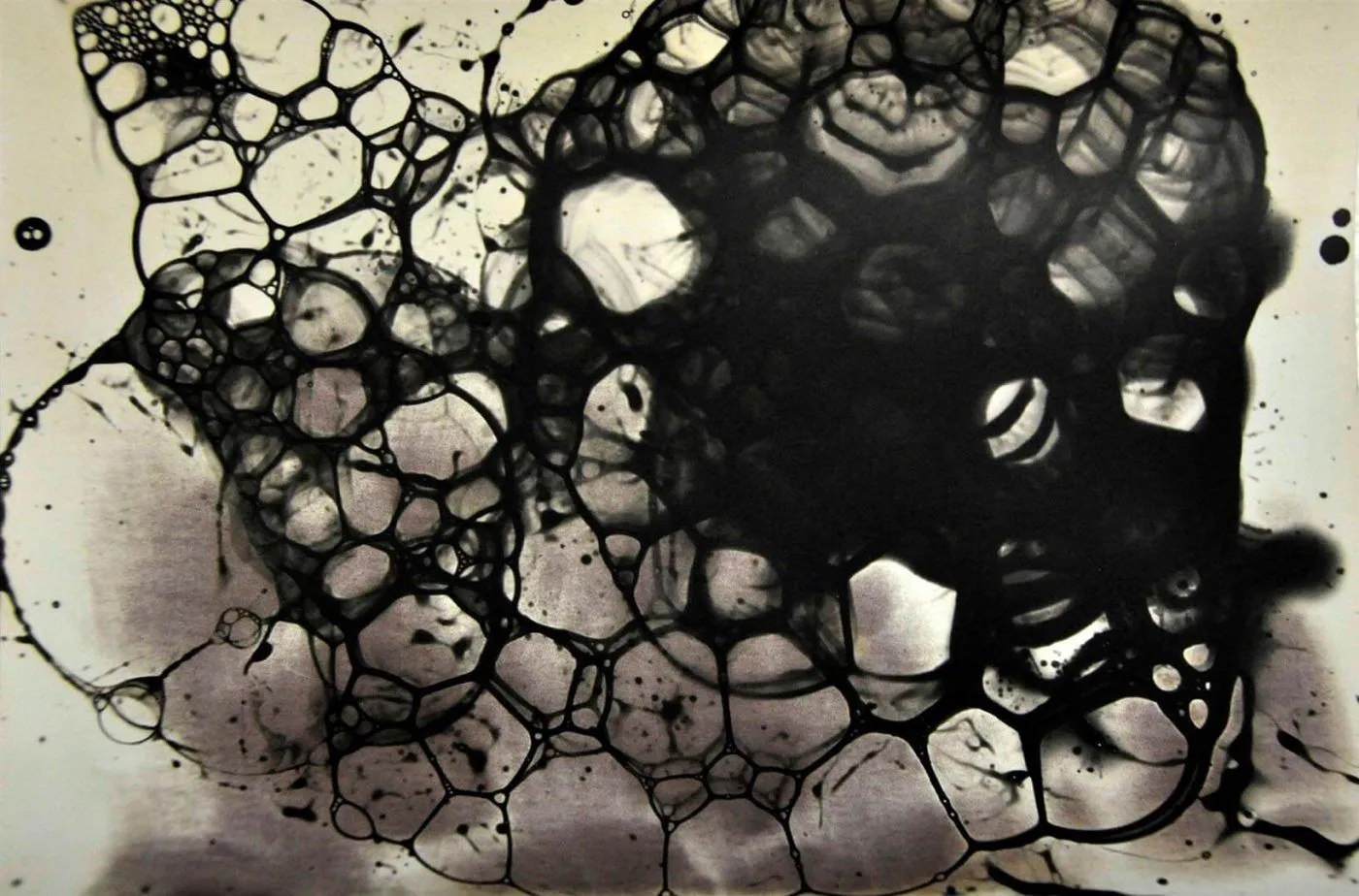 2018 Anabela Maravilhas Virus Eye
