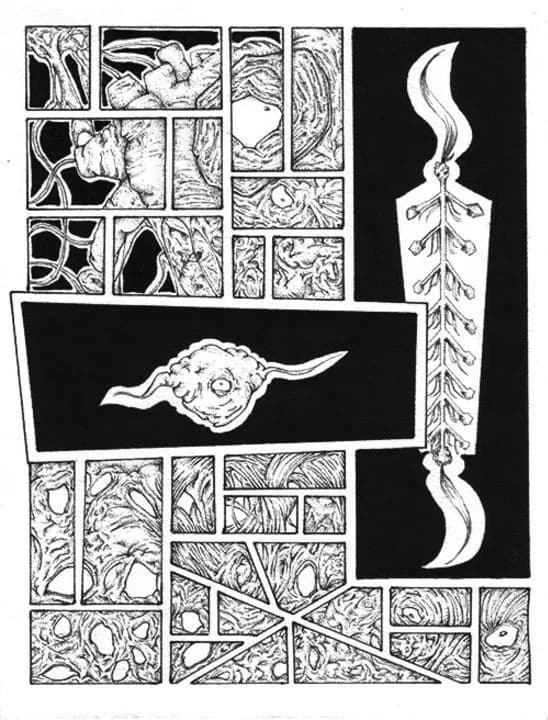 Tomorrow: Sea's Beast Special by Yanine Zatarain