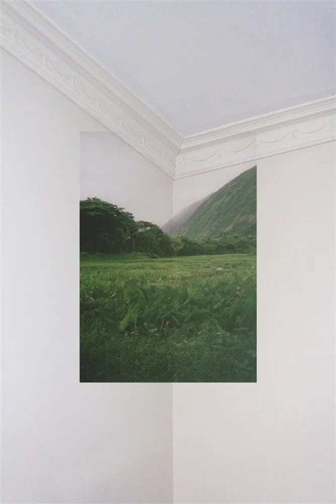 2020 Lauren Frank Untitled 1 (Access Series)