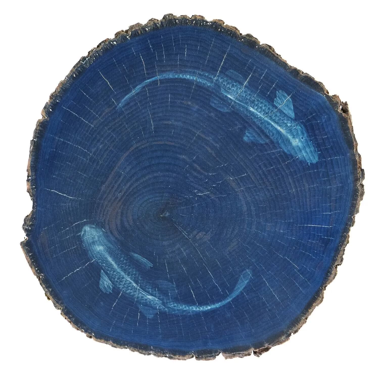2021-Chris Manfield-Blue Climate
