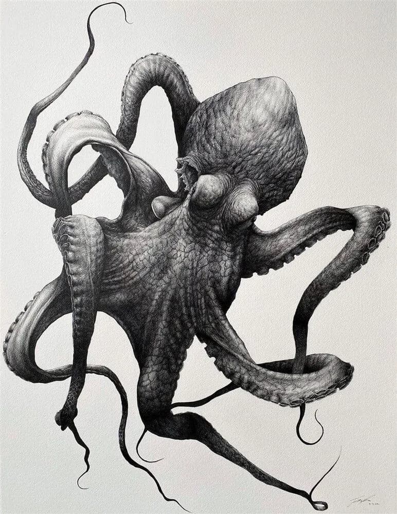 2021-James Rocke-Cephalopoda