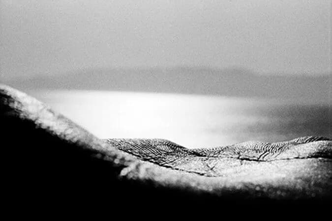 2021-Miguel Ribeiro-palm landscape