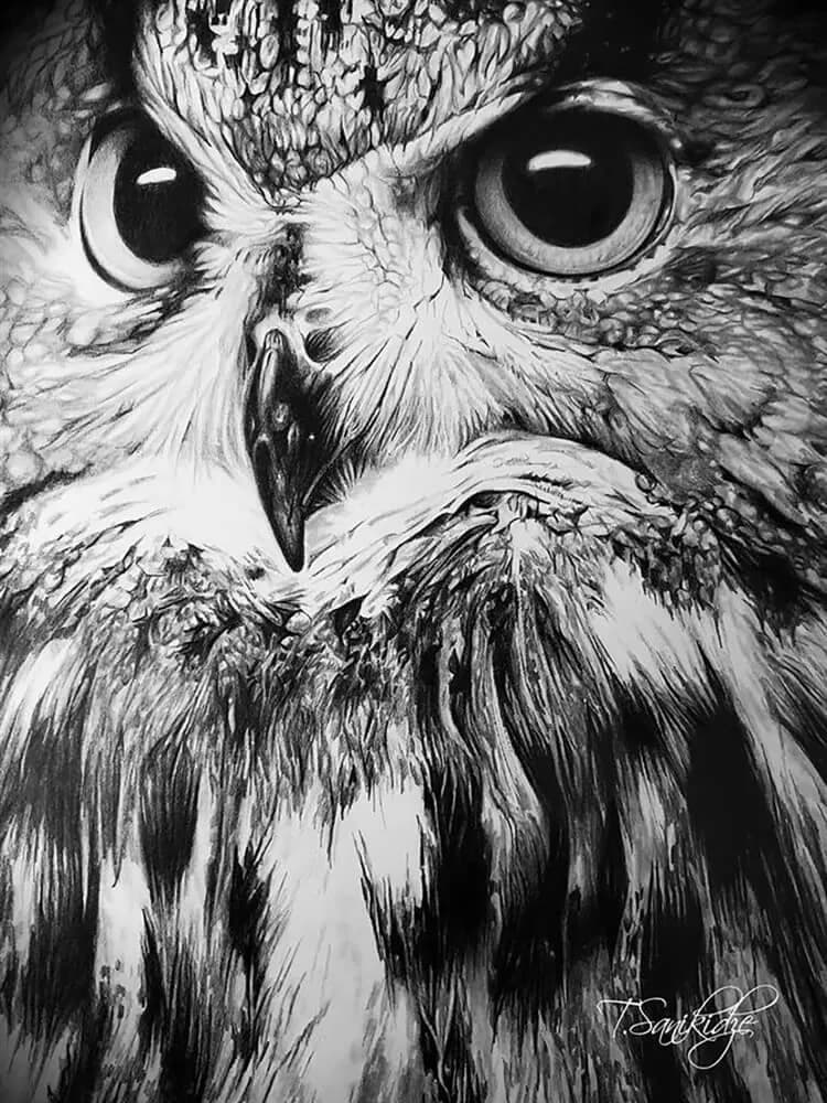 2021-Tinatin Sanikidze-The Owl