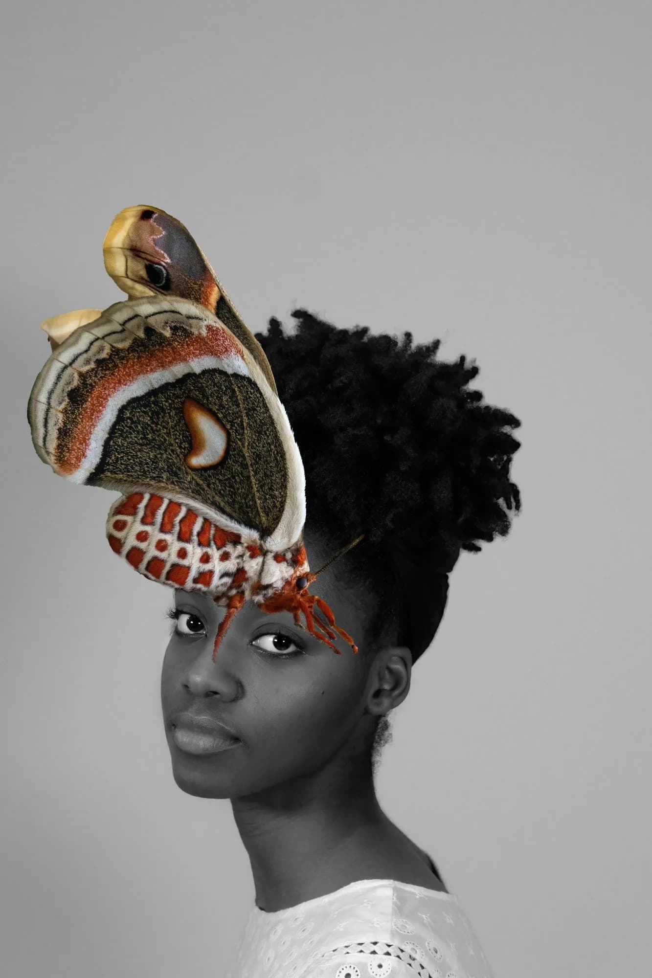 40_Natalie Jackson_Transformation to a Higher Realm
