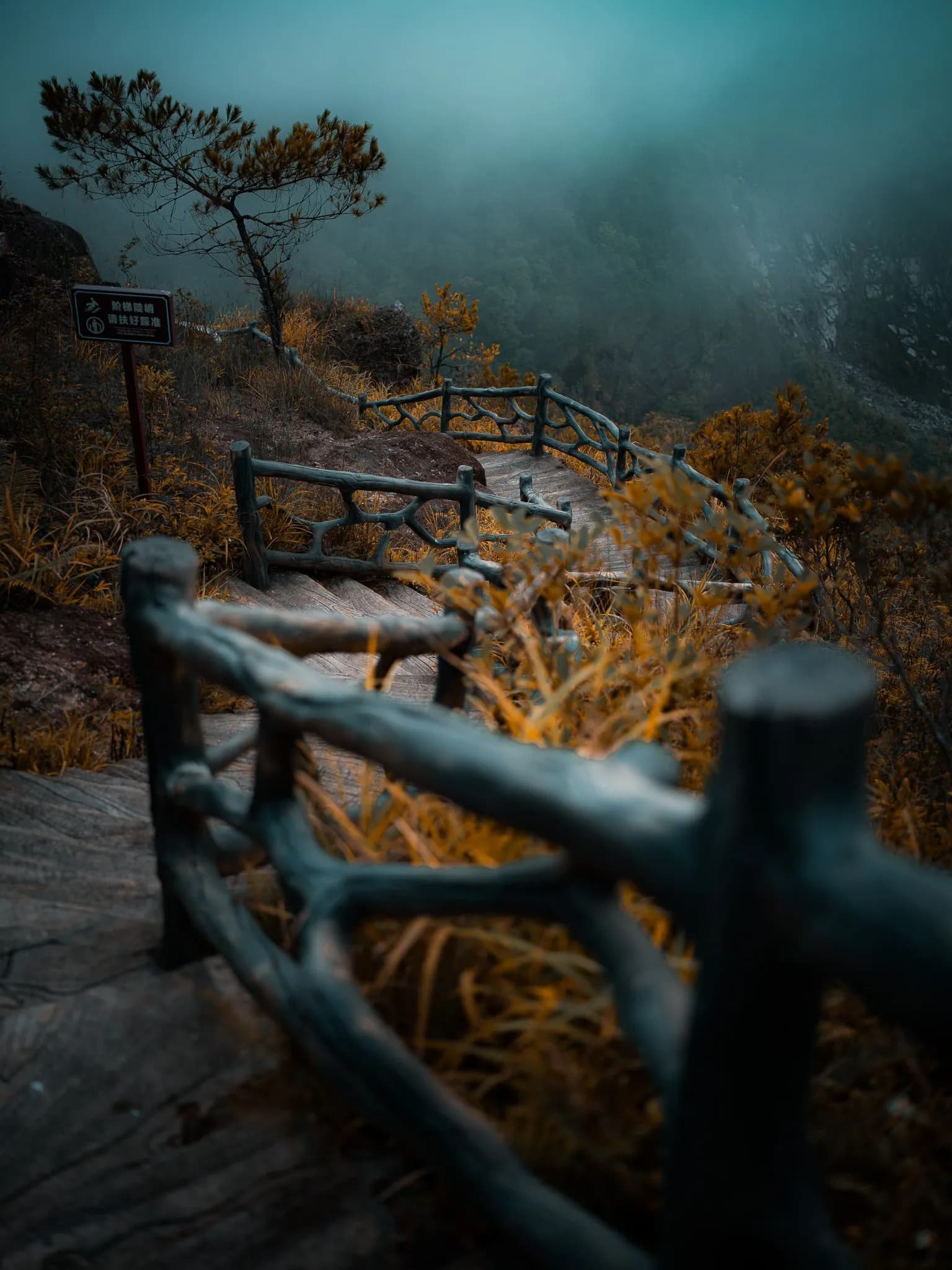 46_Steven Song_Edge OF THE Mist