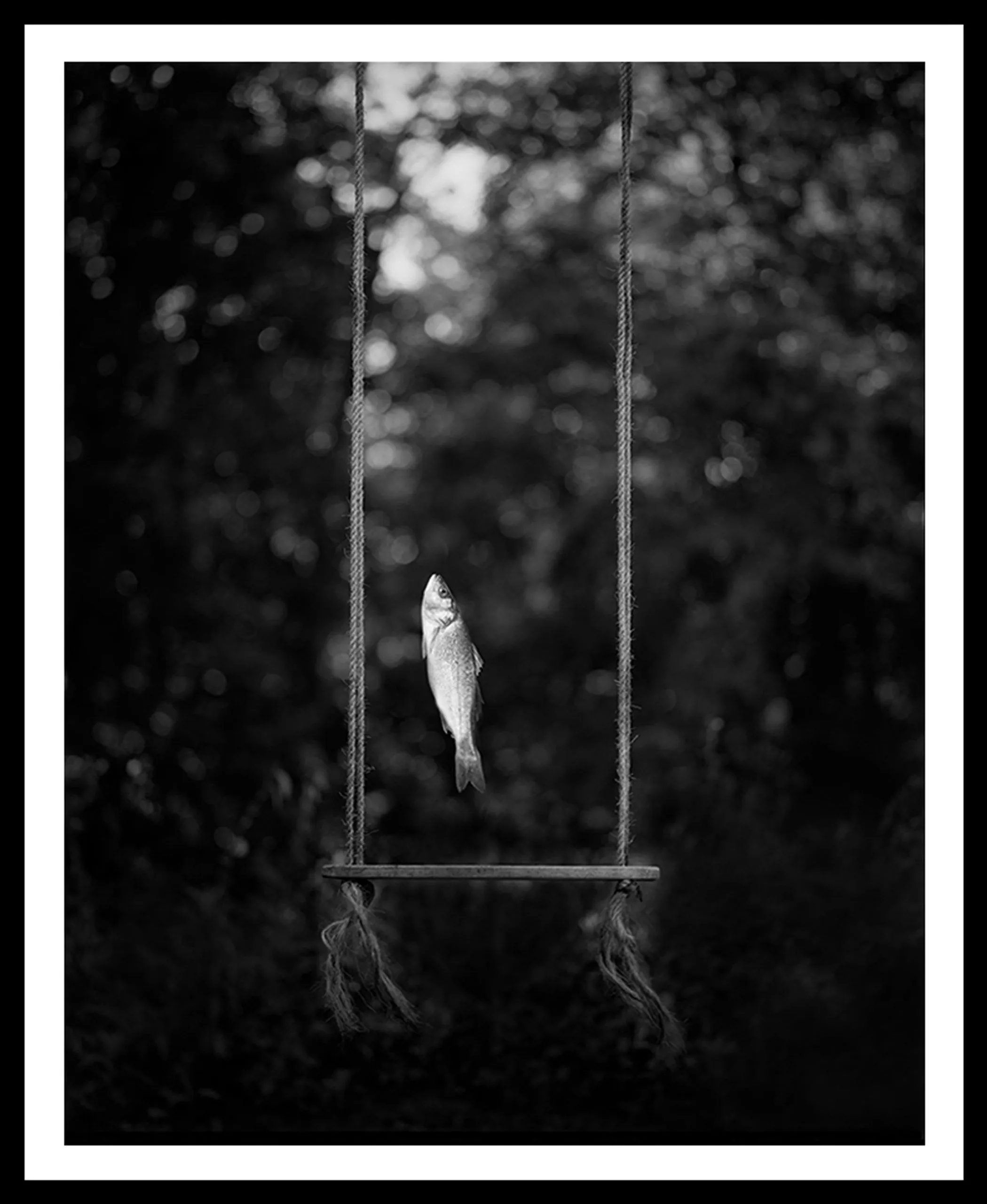 8_Joshua YeheNara_Zen - Inner Peace 5