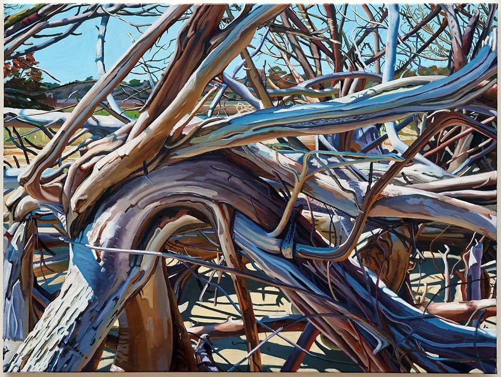 Alexander Vlasov_Warp