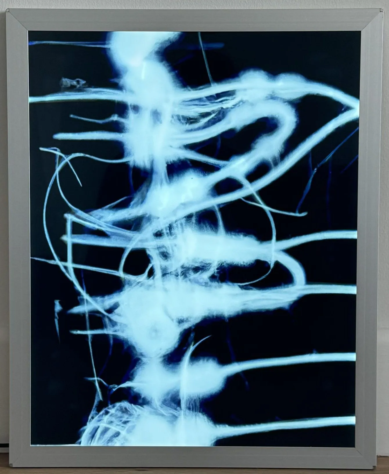 CY LINTZ_Dream Eater_x-ray medical wire, duratrans film, re purposed advertisement light box_20x16x1