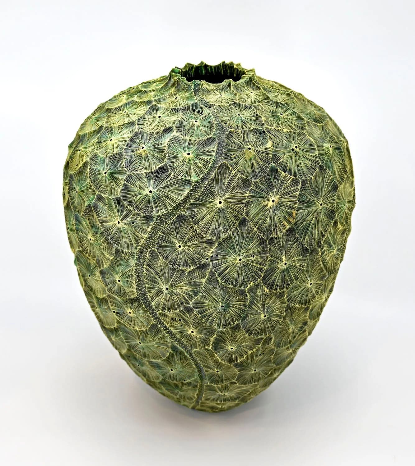 Steve miller_Coral Reef vessel