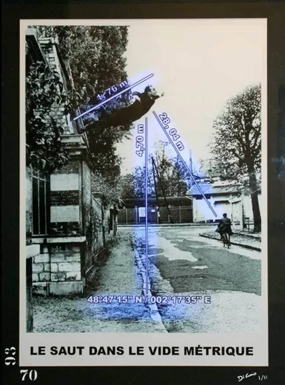 2010 Gaspare d Caro The Leap into the Void Metric