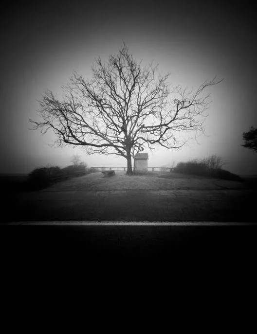 2010 Jurgen Lechner Pinhole 1