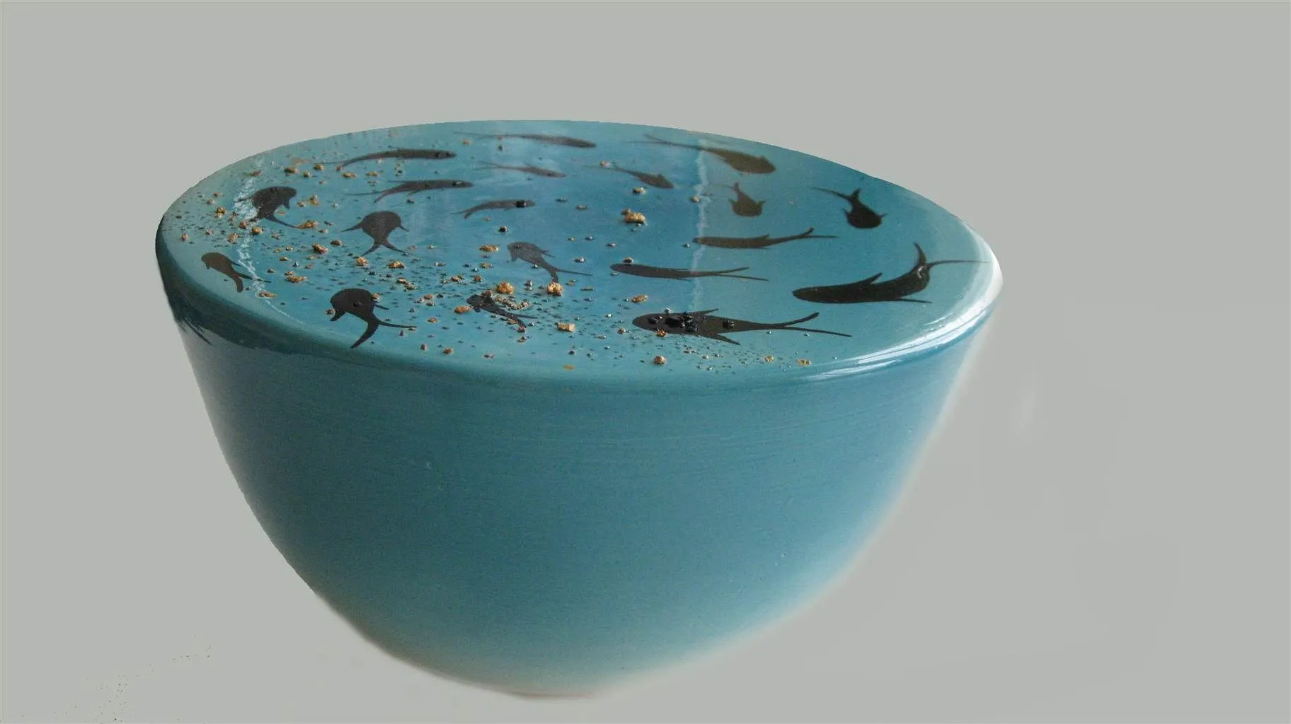 2012 Ezgi Gokce Fishes