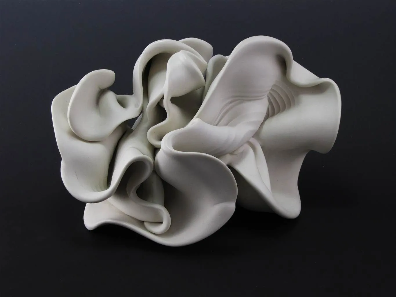 2012 Sharon Brill Conch