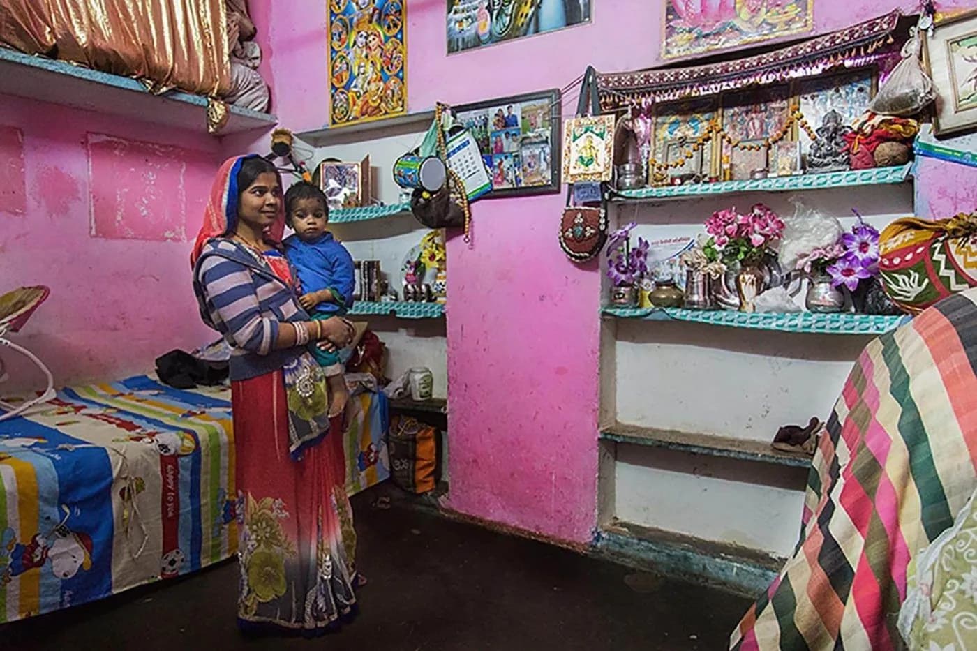 2017 Alina Fedorenko Homes of India