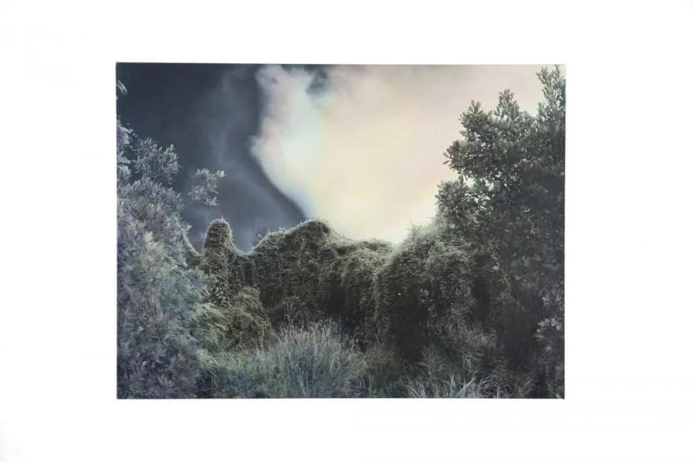 2017 Leonard Yang- Nebulous 3