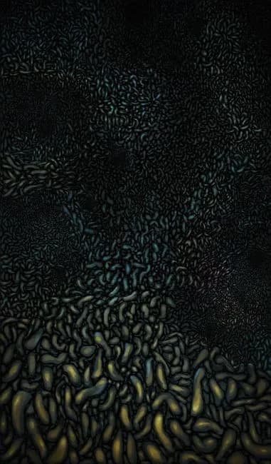 2017 Samuel Lehikoinen- Hive