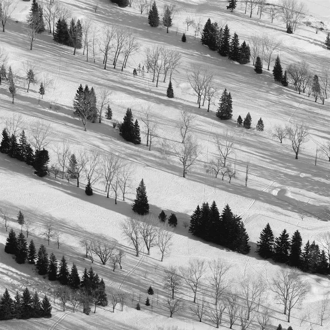2017 Vincent Chahley Winter Fairways