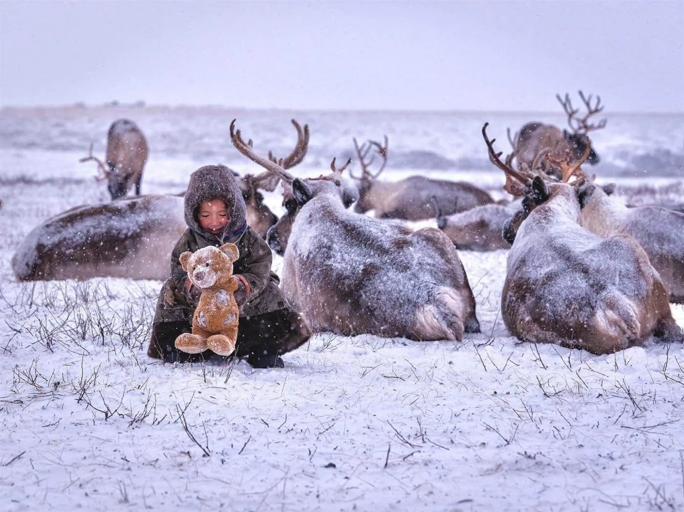 2019 Aleksandr Romanov Teddy Bear