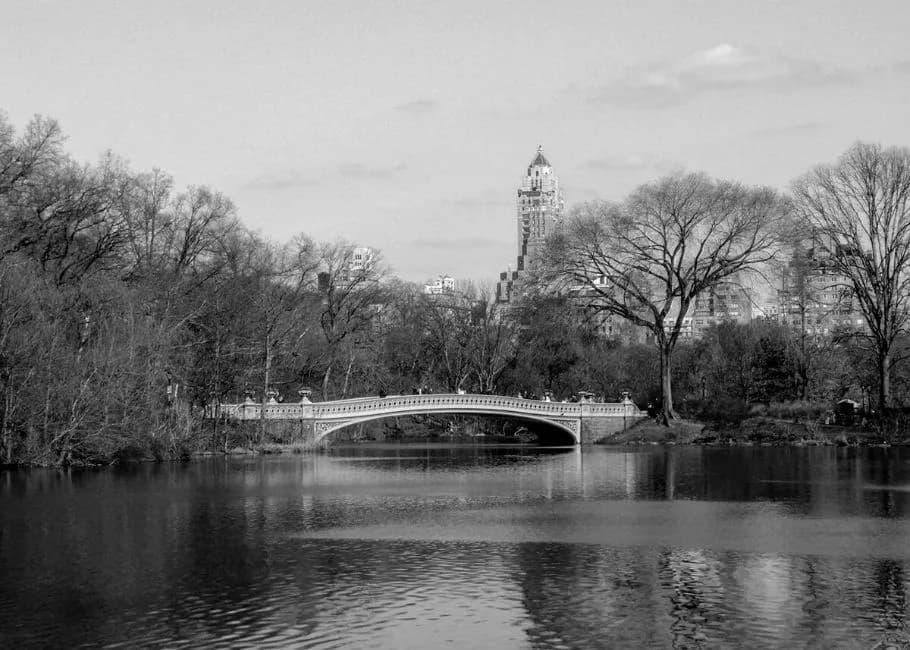 2019 Carolyn Rogers - Central Park Bridge