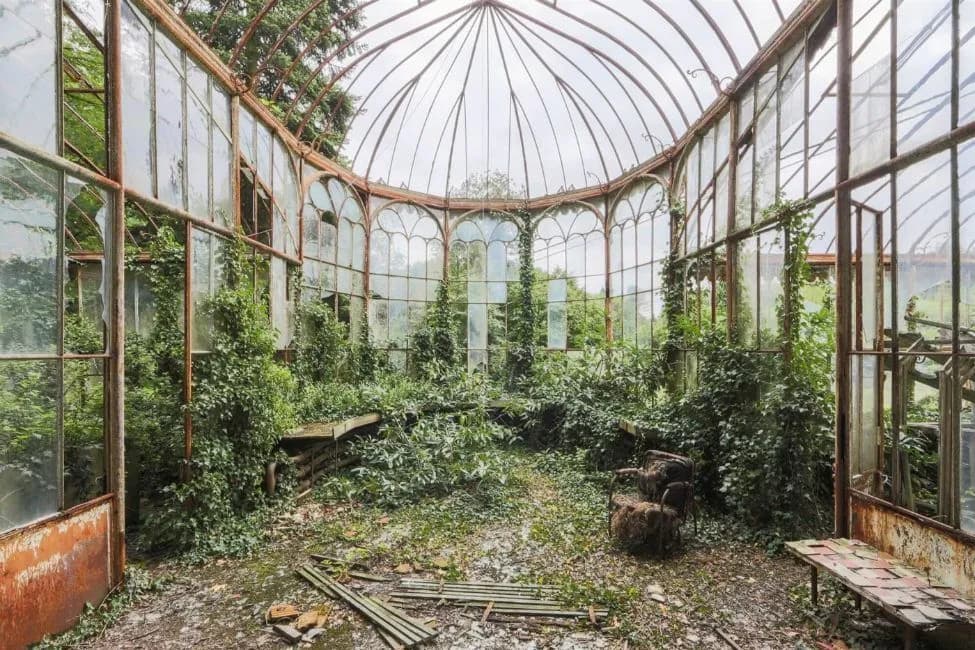 2019 Jonk - Greenhouse, Belgium