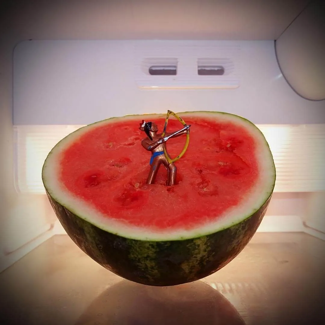 2019 Julie Mihaly When We Weren't Watching Watermelon Indian
