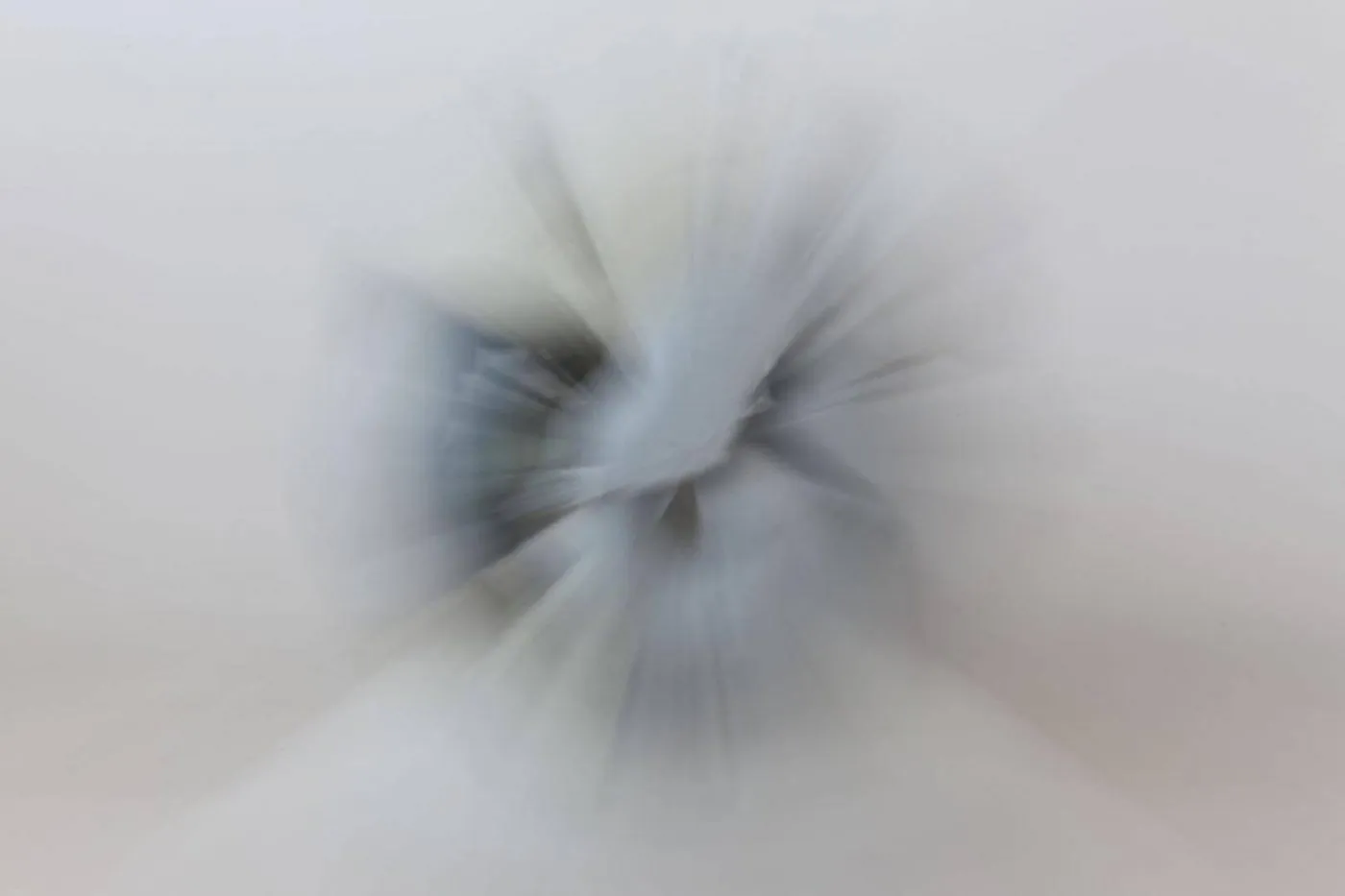 2019 Miguel Otero Fuentes Earth is Waking Up