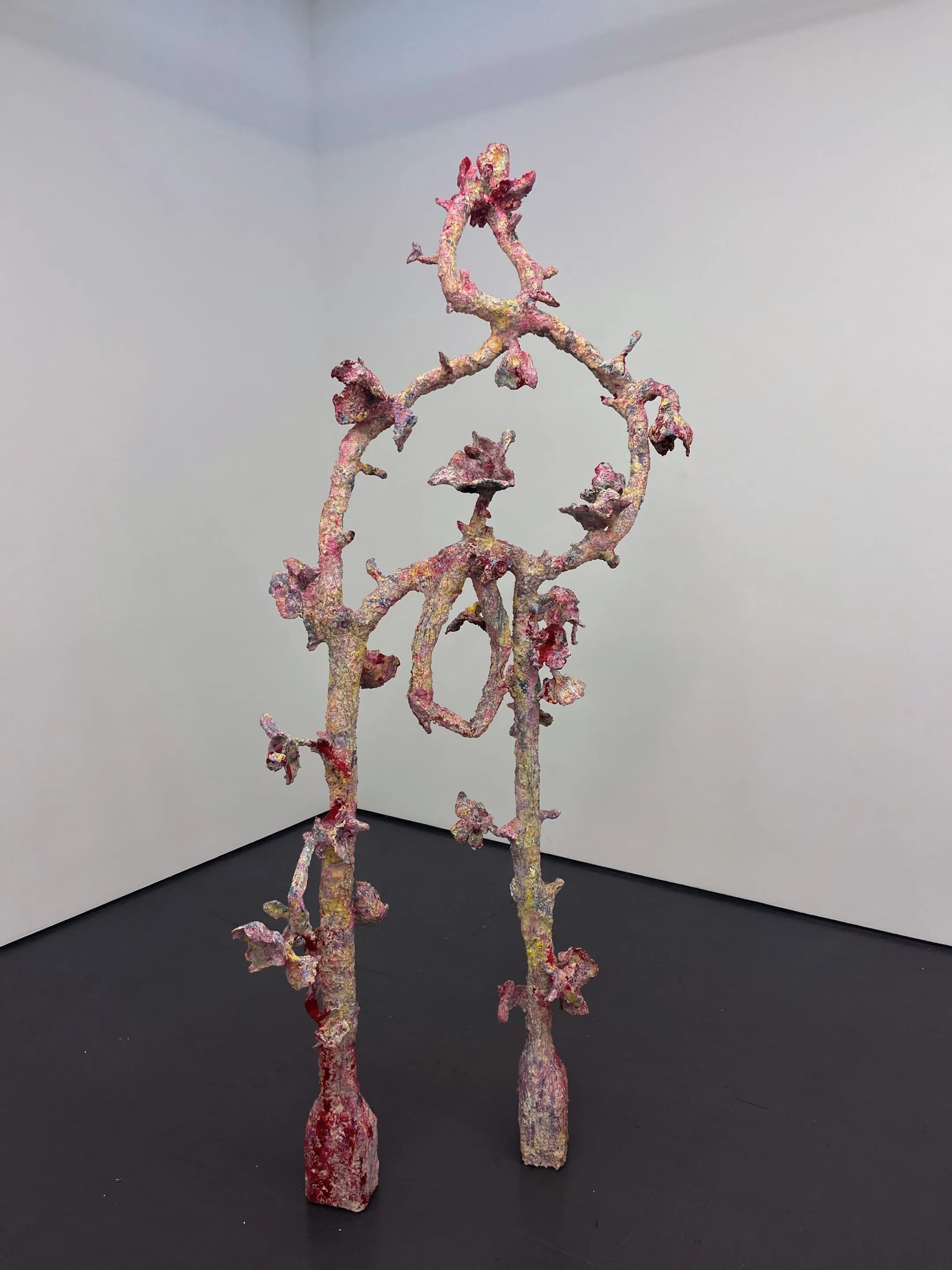38th_Anahita Bagheri_Twist, Falling