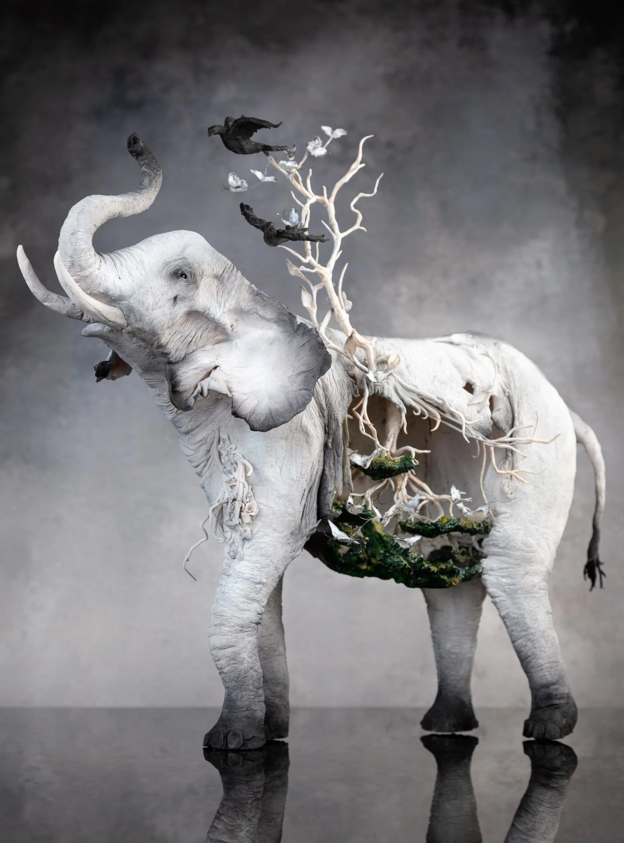 38th_Anna Togrye_The World Without Us