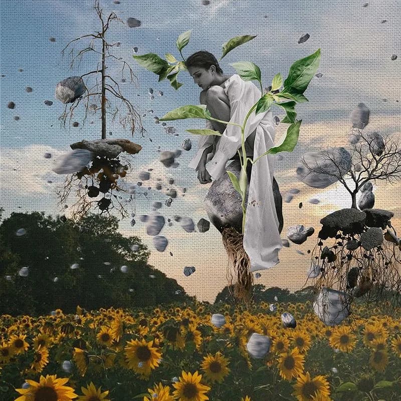 38th_Delnara El_Will I take root