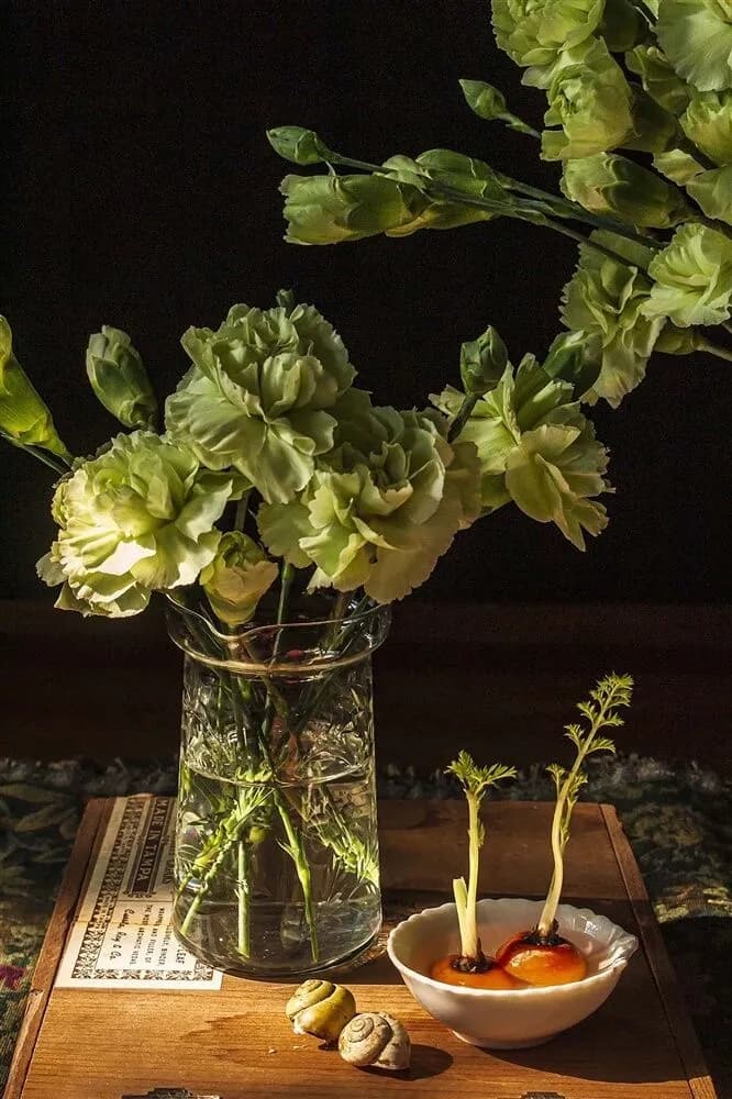 Andrea Zinn_Green Carnations Photography Digital - Fine Art Paper 19 x 12.5