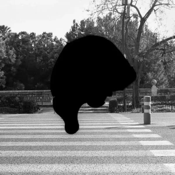 The 2nd Chelsea International Photography Competition
