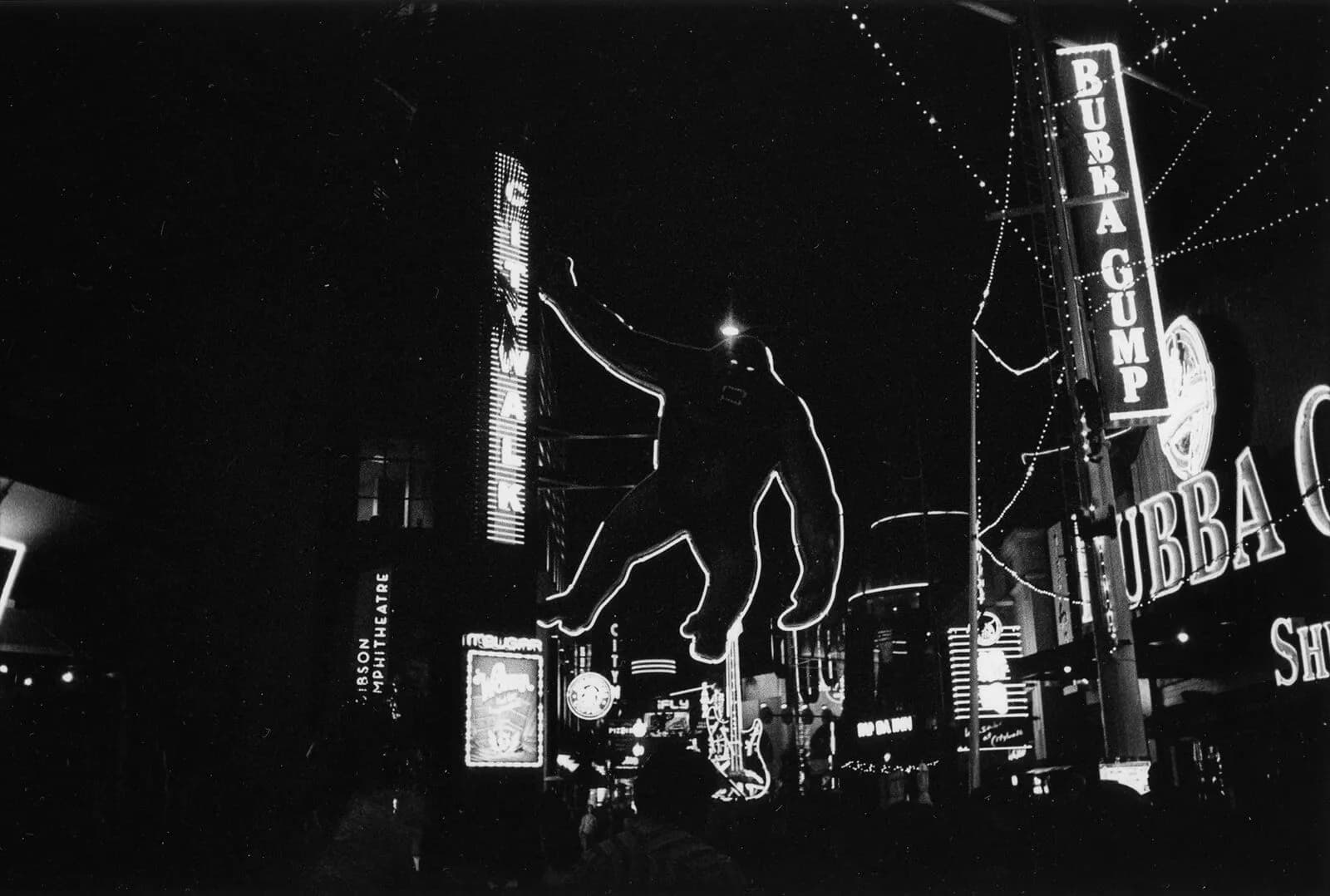 Liza Hennessey Botkin_Kong Photography Analog - Gelatin Silver 11 x 17