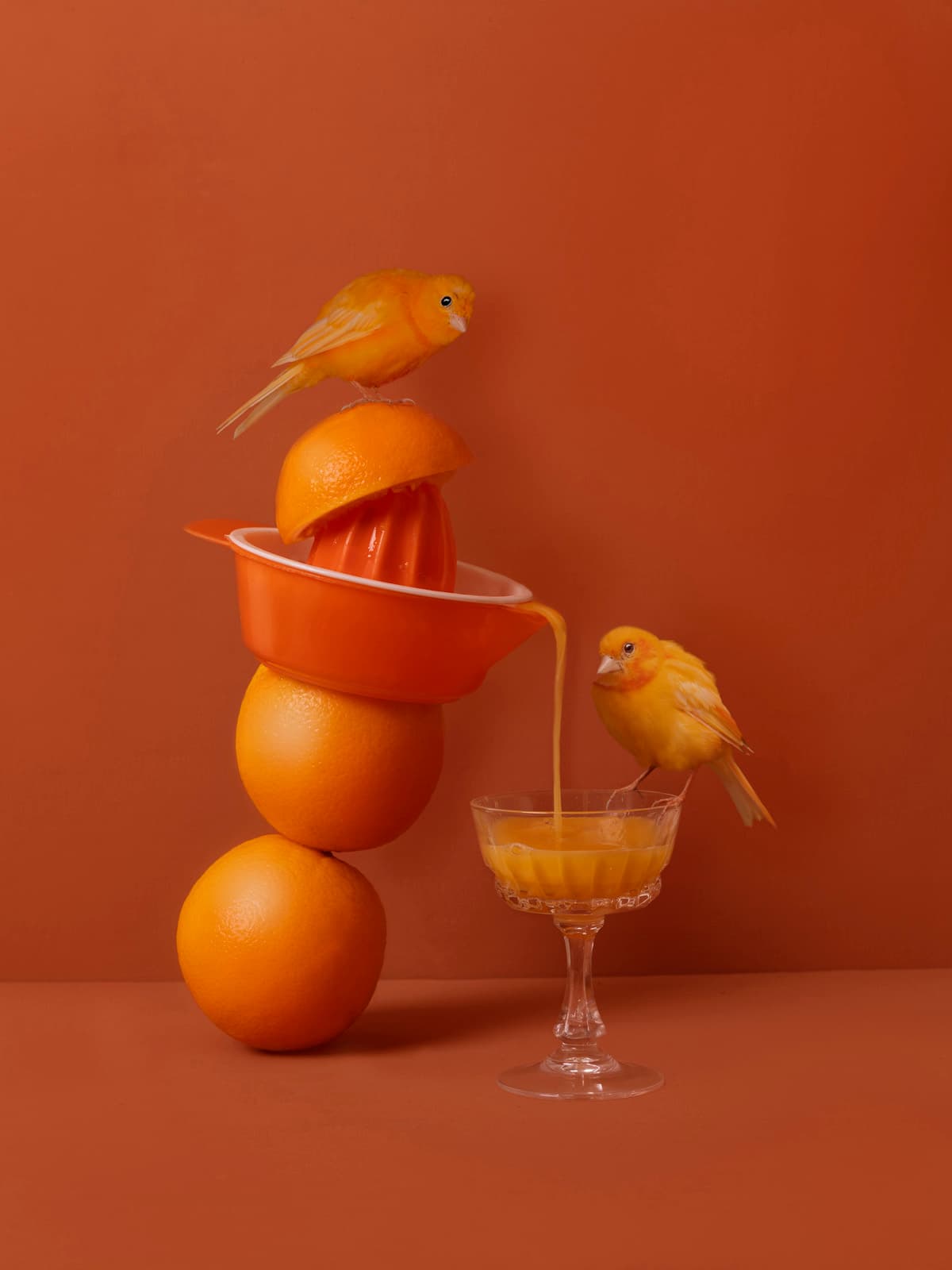 Kaat Stieber - Orange Juicy