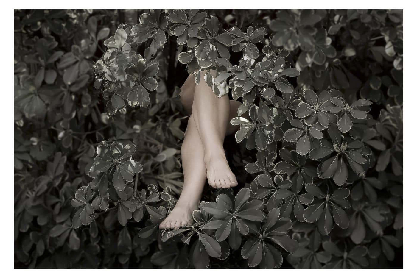 Sonia Landau - Self Portrait 3
